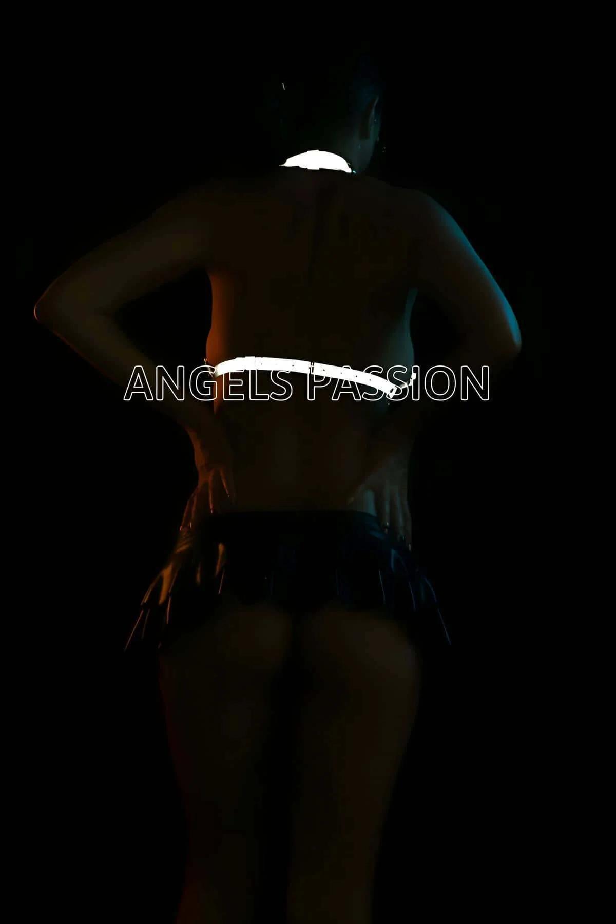 UV ışık altında tam 30 cm göğüs paneli kapsamasını gösteren reflektör zincir posta halter harness geniş çekim