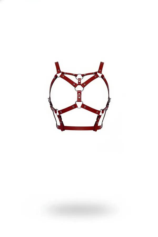 Beş gümüş O-halkalı ve geometrik askı düzenli koyu kırmızı suni deri kafes harness sütyen, beyaz arka plan